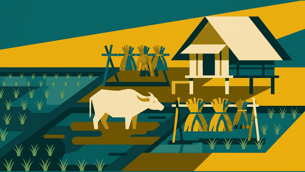 Flat illustration of a rice paddy, a water buffalo, drying rice racks and a wooden stilt house, deep teal and gold